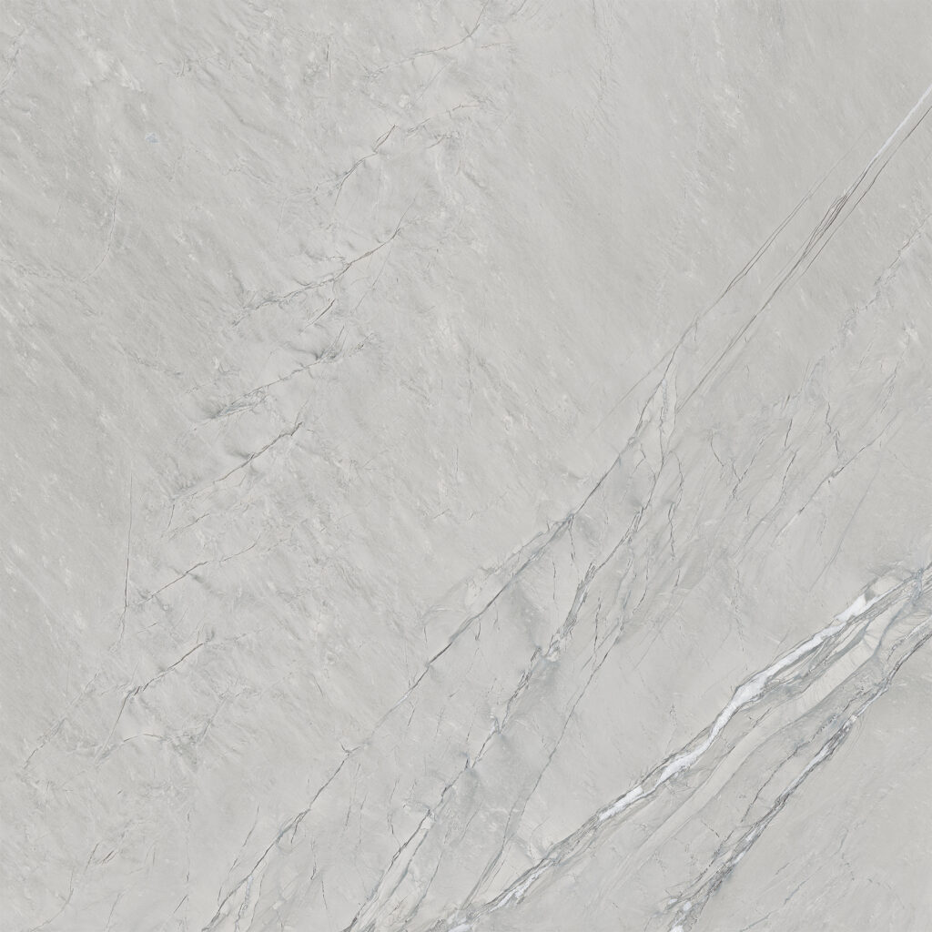 Cardosia grey energieker